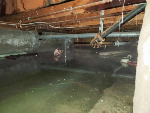 Best 24/7 water damage repair  in Four Oaks, NC
