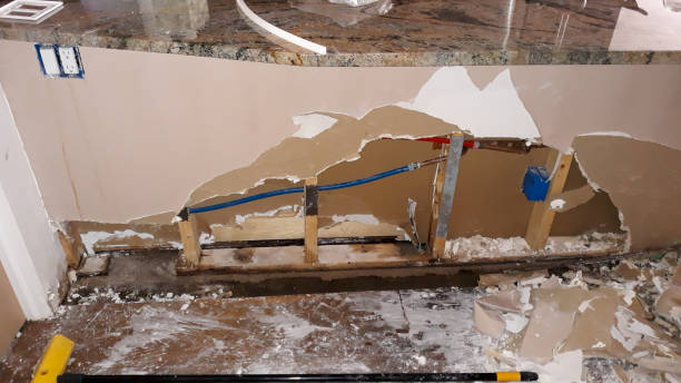Best Basement water damage restoration  in Four Oaks, NC