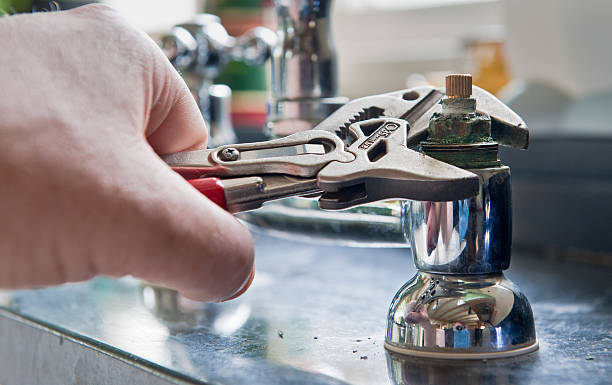Best Mold removal after water damage  in Four Oaks, NC
