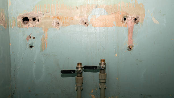 Best Water damage restoration near me  in Four Oaks, NC