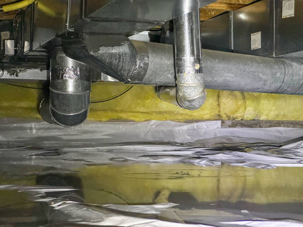 Best Fire Damage Restoration  in Four Oaks, NC