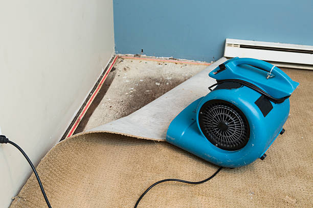 Best Professional water damage repair  in Four Oaks, NC